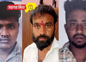 मोठी बातमी : जिल्ह्यातील तीन गुन्हेगारांवर स्थानबध्दतेची कारवाई !