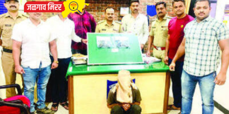 दोन गावठी पिस्तूल, जिवंत काडतूसासह संशयित पोलिसांच्या ताब्यात