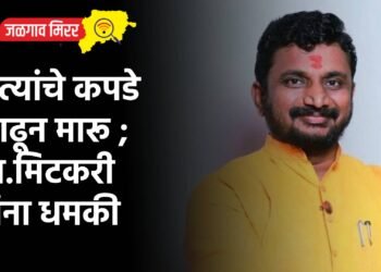 …त्यांचे कपडे काढून मारू ; आ.मिटकरी यांना धमकी