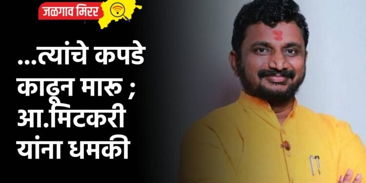 …त्यांचे कपडे काढून मारू ; आ.मिटकरी यांना धमकी