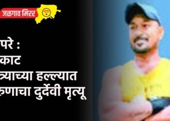 बापरे : मोकाट कुत्र्याच्या हल्ल्यात तरुणाचा दुर्देवी मृत्यू