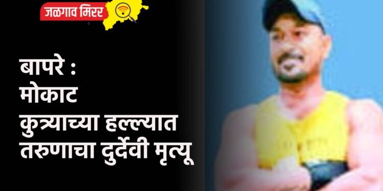 बापरे : मोकाट कुत्र्याच्या हल्ल्यात तरुणाचा दुर्देवी मृत्यू