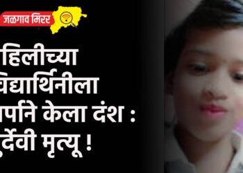 पहिलीच्या विद्यार्थिनीला सर्पाने केला दंश : दुर्देवी मृत्यू !