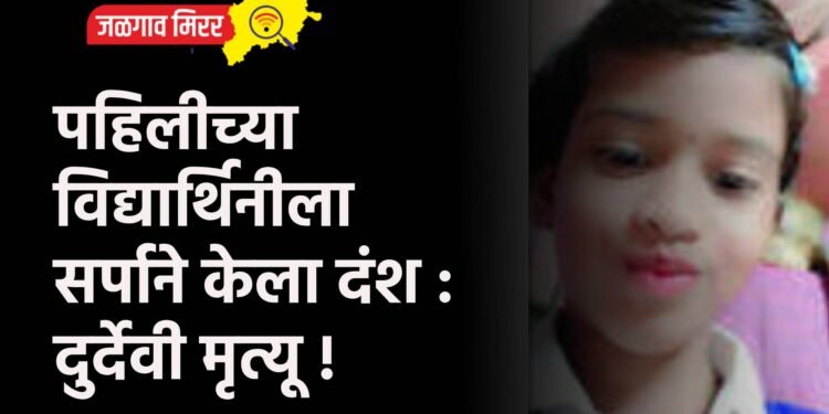 पहिलीच्या विद्यार्थिनीला सर्पाने केला दंश : दुर्देवी मृत्यू !