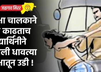 खळबळजनक : रिक्षा चालकाने छेड काढताच विद्यार्थिनीने घेतली धावत्या रिक्षातून उडी !
