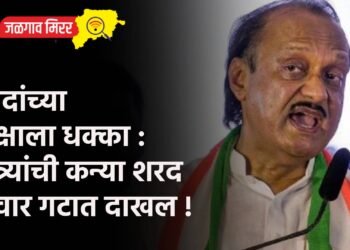 दादांच्या पक्षाला धक्का : मंत्र्यांची कन्या शरद पवार गटात दाखल !