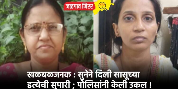 खळबळजनक : सुनेने दिली सासूच्या हत्येची सुपारी ; पोलिसांनी केली उकल !