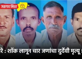 बापरे : शॉक लागून चार जणांचा दुर्देवी मृत्यू !