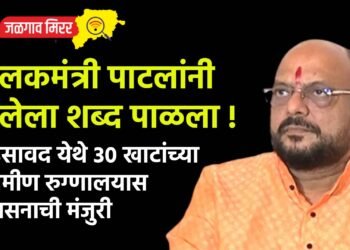 म्हसावद येथे 30 खाटांच्या ग्रामीण रुग्णालयास शासनाची मंजुरी  ; पालकमंत्री पाटलांनी दिलेला शब्द पाळला !
