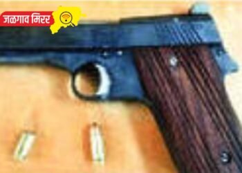 गावठी कट्टा घेवून दहशत माजविणारे अटकेत