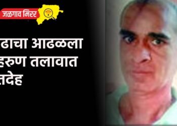 प्रौढाचा आढळला मेहरुण तलावात मृतदेह