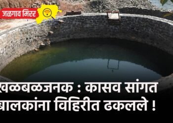 खळबळजनक : कासव सांगत बालकांना विहिरीत ढकलले !