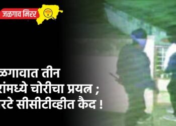 जळगावात तीन घरांमध्ये चोरीचा प्रयत्न ; चोरटे सीसीटीव्हीत कैद !