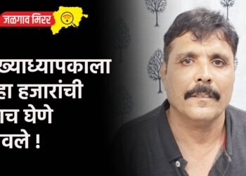 मुख्याध्यापकाला दहा हजारांची लाच घेणे भोवले !