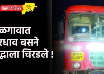 जळगावात भरधाव बसने वृद्धाला चिरडले !