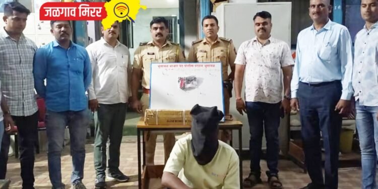 गावठी कट्टा, दोन जिवंत राऊंडसह एक ताब्यात