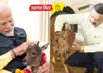 जुळून आला योगायोग : माजी उपमहापौर डॉ.अश्विन सोनवणेंच्या निवासस्थानी नव्या सदस्याचे आगमन !