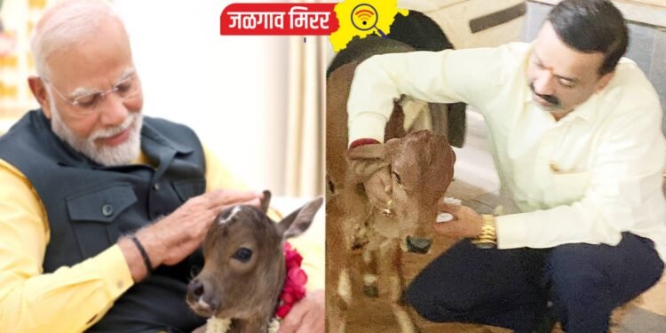 जुळून आला योगायोग : माजी उपमहापौर डॉ.अश्विन सोनवणेंच्या निवासस्थानी नव्या सदस्याचे आगमन !