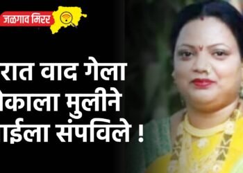 घरात वाद गेला टोकाला मुलीने आईला संपविले !