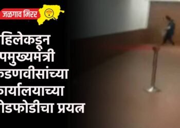 महिलेकडून उपमुख्यमंत्री फडणवीसांच्या कार्यालयाच्या तोडफोडीचा प्रयत्न