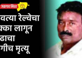 धावत्या रेल्वेचा धक्का लागून प्रौढाचा जागीच मृत्यू