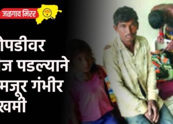 झोपडीवर वीज पडल्याने ५ मजूर गंभीर जखमी