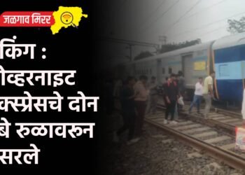 ब्रेकिंग : ओव्हरनाइट एक्स्प्रेसचे दोन डबे रुळावरून घसरले