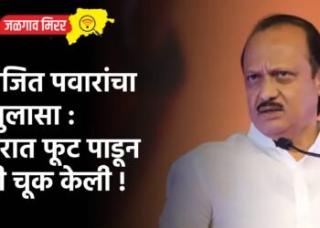 अजित पवारांचा खुलासा : घरात फूट पाडून मी चूक केली !