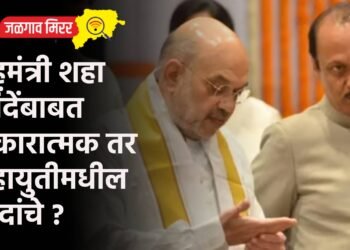 गृहमंत्री शहा शिंदेंबाबत सकारात्मक तर महायुतीमधील दादांचे ?