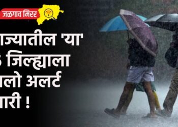 राज्यातील ‘या’ ६ जिल्ह्याला यलो अलर्ट जारी !