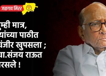 तुम्ही मात्र, त्यांच्या पाठीत खंजीर खुपसला ; खा.संजय राऊत बरसले !