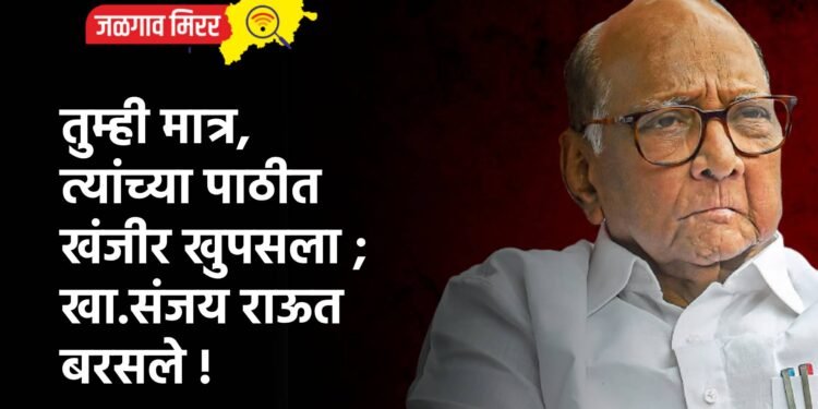 तुम्ही मात्र, त्यांच्या पाठीत खंजीर खुपसला ; खा.संजय राऊत बरसले !