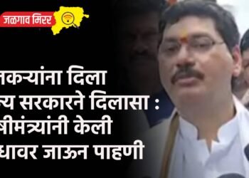 शेतकऱ्यांना दिला राज्य सरकारने दिलासा : कृषीमंत्र्यांनी केली बांधावर जाऊन पाहणी