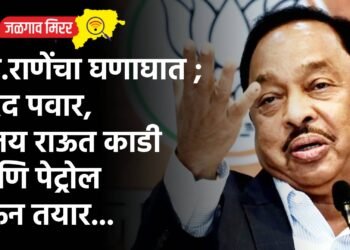 खा.राणेंचा घणाघात ; शरद पवार, संजय राऊत काडी आणि पेट्रोल घेऊन तयार…