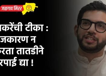ठाकरेंची टीका : राजकारण न करता तातडीने भरपाई द्या !