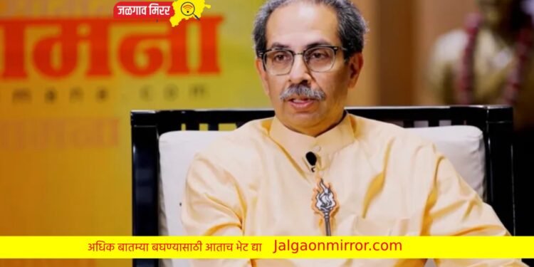 मोठी बातमी : उद्धव ठाकरे यांची घोषणा : जिल्ह्यात दिले दोन उमेदवार !