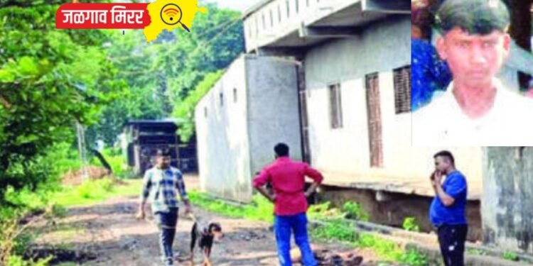 डोक्यात दगड टाकून तरुणाच्या खुनाने जिल्हा हादरला !