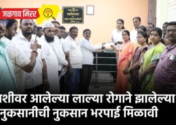 कपाशीवर आलेल्या लाल्या रोगाने झालेल्या नुकसानीची नुकसान भरपाई मिळावी