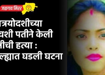 धनत्रयोदशीच्या दिवशी पतीने केली पत्नीची हत्या : जिल्ह्यात घडली घटना