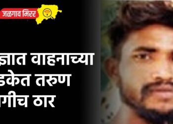 अज्ञात वाहनाच्या धडकेत तरुण जागीच ठार