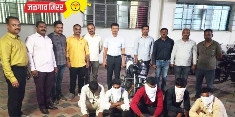 एलसीबीने केला जिल्ह्यात बकऱ्यांची चोरी करणाऱ्या टोळीचा पर्दाफाश !