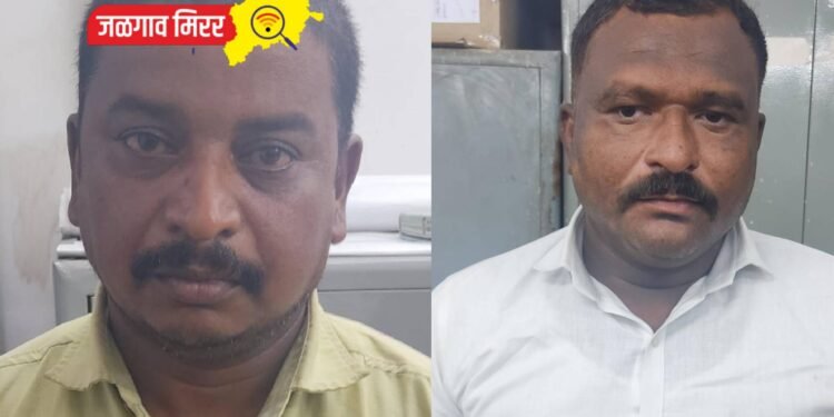 तलाठ्यासह पंटरने घेतली हजार रुपयांची लाच ; एसीबीने केली कारवाई