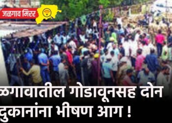 जळगावातील गोडावूनसह दोन दुकानांना भीषण आग !