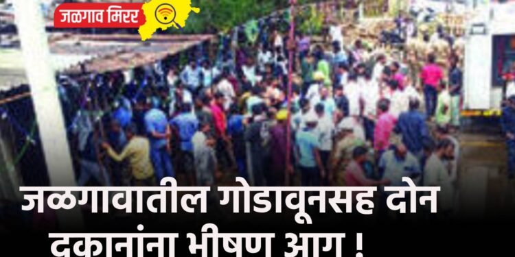 जळगावातील गोडावूनसह दोन दुकानांना भीषण आग !