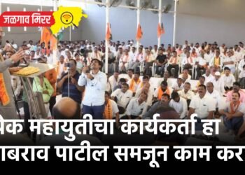 प्रत्येक महायुतीचा कार्यकर्ता हा गुलाबराव पाटील समजून काम करा !