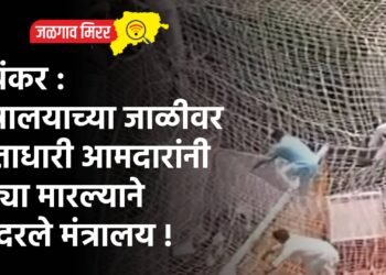 भयंकर : मंत्रालयाच्या जाळीवर सत्ताधारी आमदारांनी उड्या मारल्याने हादरले मंत्रालय !