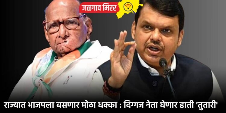 राज्यात भाजपला बसणार मोठा धक्का : दिग्गज नेता घेणार हाती ‘तुतारी’