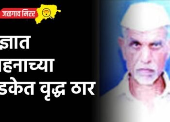 अज्ञात वाहनाच्या धडकेत वृद्ध ठार