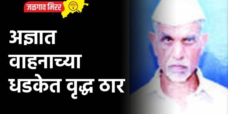 अज्ञात वाहनाच्या धडकेत वृद्ध ठार