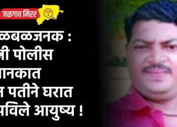 खळबळजनक : पत्नी पोलीस स्थानकात अन पतीने घरात संपविले आयुष्य !